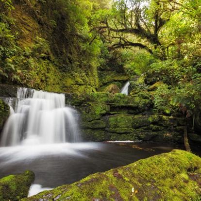 A découvrir en Nouvelle-Zélande - La Catlins Coast