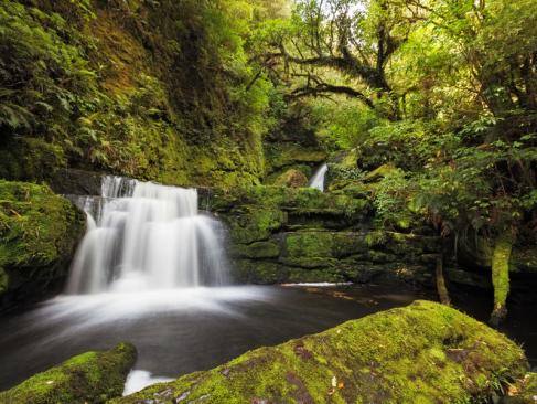 A découvrir en Nouvelle-Zélande - La Catlins Coast