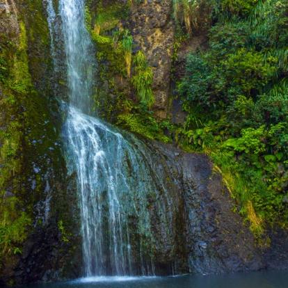 A Découvrir en Nouvelle-Zélande - Auckland