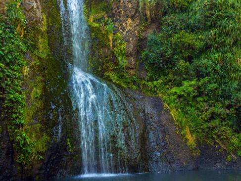 A Découvrir en Nouvelle-Zélande - Auckland