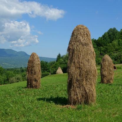 Maramures - Meules de foin A Découvrir en Roumanie - Les Maramures