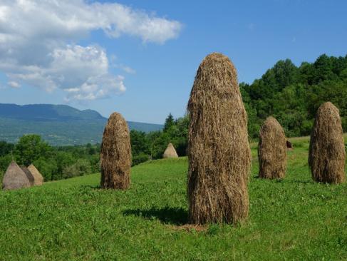 A Découvrir en Roumanie - Les Maramures