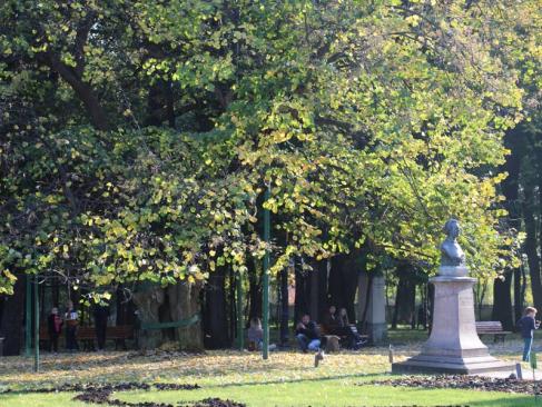 A Découvrir en Roumanie - Iași