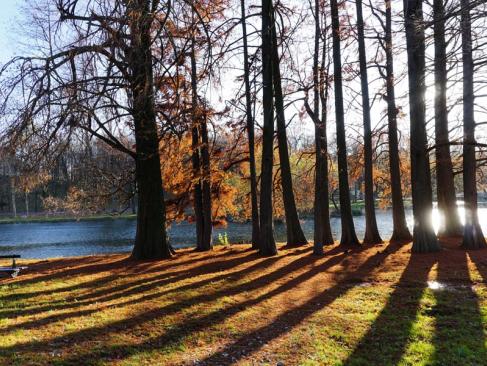Craiova - Parc Nicolae Romanescu A Découvrir en Roumanie - Craiova