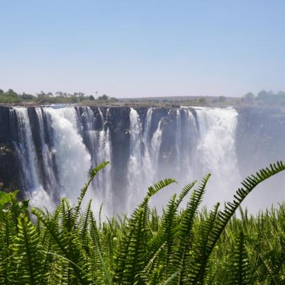Victoria Falls A Découvrir au Zimbabwe - Les Chutes Victoria
