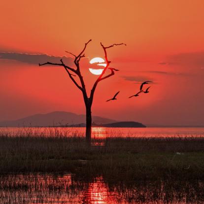 A découvrir au Zimbabwe - Parc National Matusadona