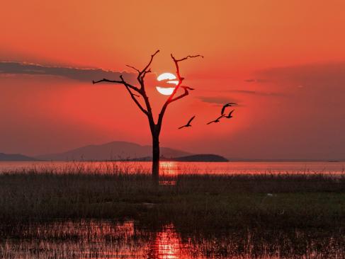 A découvrir au Zimbabwe - Parc National Matusadona