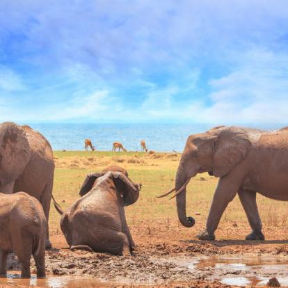 A découvrir au Zimbabwe - Parc National Matusadona