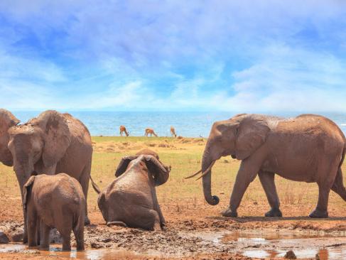 A découvrir au Zimbabwe - Parc National Matusadona