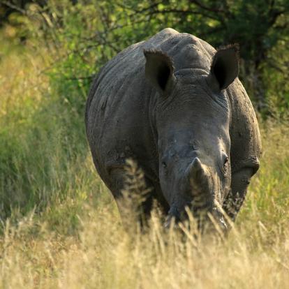 A Découvrir au Zimbabwe - Parc National Matobo
