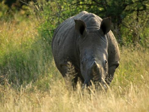 Parc National Matobo A Découvrir au Zimbabwe - Parc National Matobo