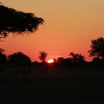 Parc National Hwange A découvrir au Zimbabwe : Le Parc National Hwange