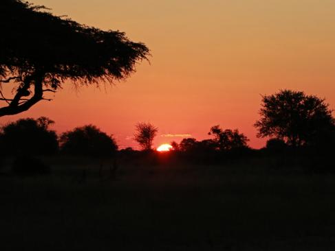 Parc National Hwange A découvrir au Zimbabwe : Le Parc National Hwange