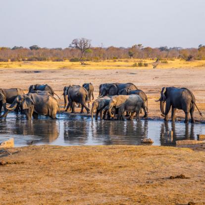 Parc National Hwange A découvrir au Zimbabwe : Le Parc National Hwange