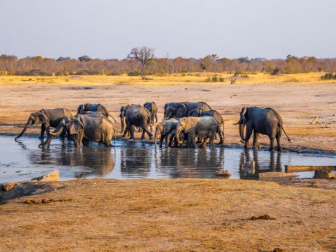 Parc National Hwange A découvrir au Zimbabwe : Le Parc National Hwange