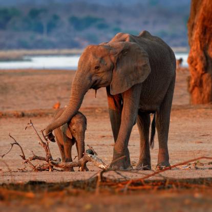 A Découvrir au Zimbabwe - Parc National de Mana Pools