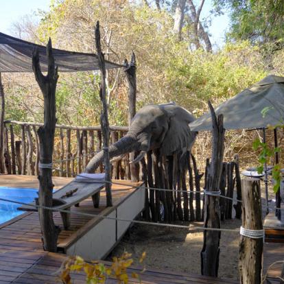 A Découvrir au Zimbabwe - Parc National de Mana Pools