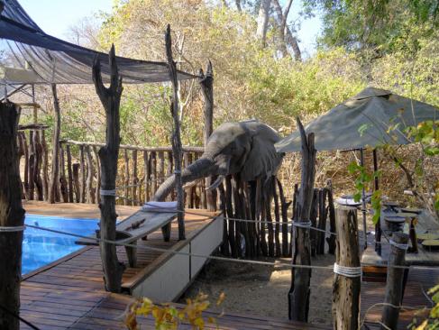 A Découvrir au Zimbabwe - Parc National de Mana Pools