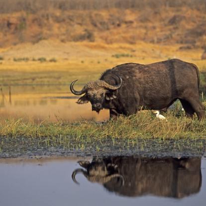 A Découvrir au Zimbabwe - Lac Kariba