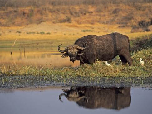 A Découvrir au Zimbabwe - Lac Kariba