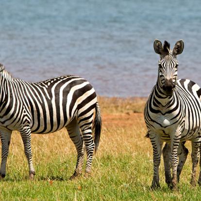 A Découvrir au Zimbabwe - Lac Kariba