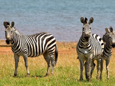 A Découvrir au Zimbabwe - Lac Kariba