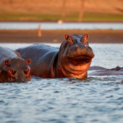 A Découvrir au Zimbabwe - Lac Kariba