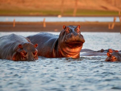 A Découvrir au Zimbabwe - Lac Kariba