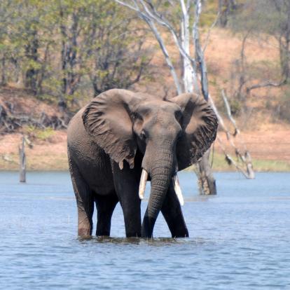 A Découvrir au Zimbabwe - Lac Kariba