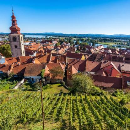 Ptuj A Découvrir en Slovénie - Ptuj
