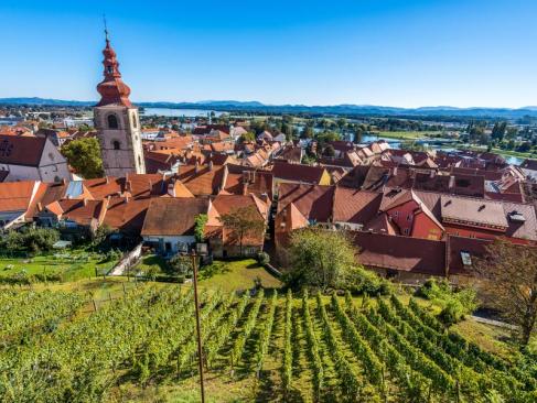 Ptuj A Découvrir en Slovénie - Ptuj