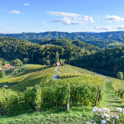 A Découvrir en Slovénie - Maribor