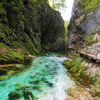 A Découvrir en Slovénie - Le Lac de Bled