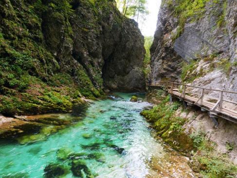 A Découvrir en Slovénie - Le Lac de Bled