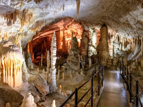A Découvrir en Slovénie - Grottes de Postojna