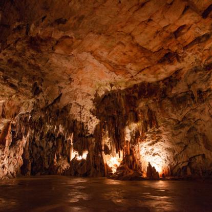 A Découvrir en Slovénie - Grottes de Postojna