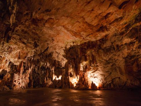 A Découvrir en Slovénie - Grottes de Postojna