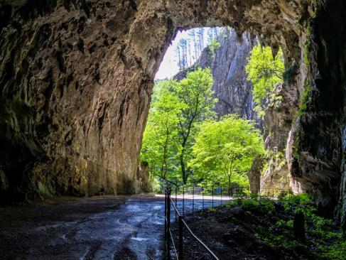 Grottes De Skocjan A Découvrir en Slovénie - Les Grottes de Skocjan