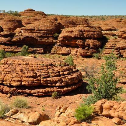 Parc National Watarrka - Kings Canyon A Découvrir en Australie - Parc National Watarrka et Kings Canyon