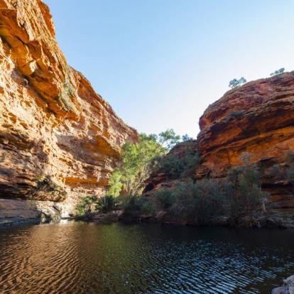 Parc National  Watarrka - Kings Canyon A Découvrir en Australie - Parc National Watarrka et Kings Canyon