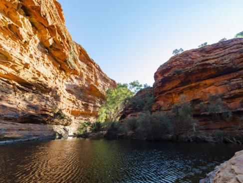 Parc National  Watarrka - Kings Canyon A Découvrir en Australie - Parc National Watarrka et Kings Canyon