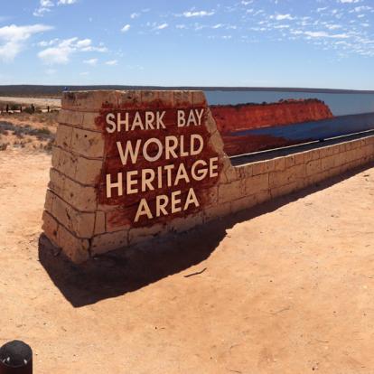 A Découvrir en Australie - Shark Bay