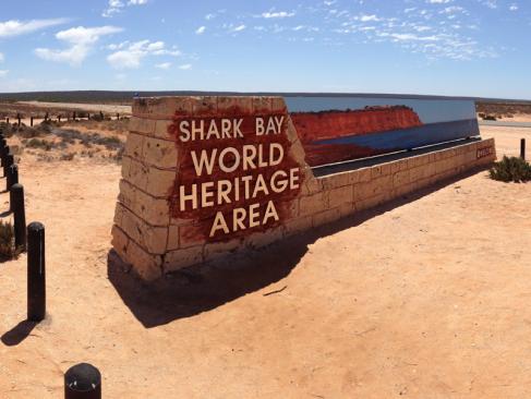 A Découvrir en Australie - Shark Bay