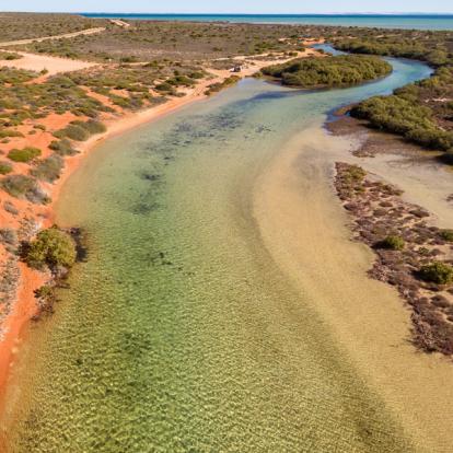 A Découvrir en Australie - Shark Bay