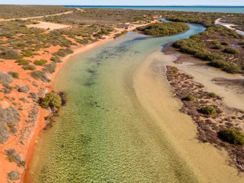 A Découvrir en Australie - Shark Bay