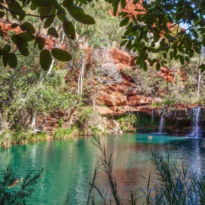 Parc National De Karijini - Fern Pool In Dales Gorge A Découvrir en Australie - Le Parc National de Karijini