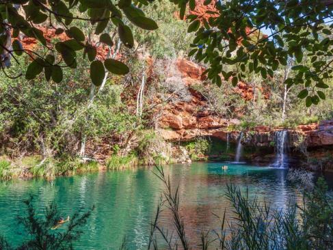 Parc National De Karijini - Fern Pool In Dales Gorge A Découvrir en Australie - Le Parc National de Karijini