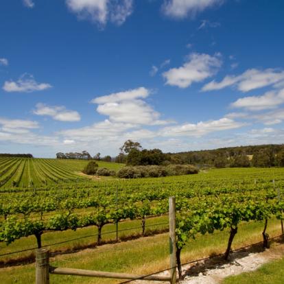 A Découvrir en Australie - Margaret River