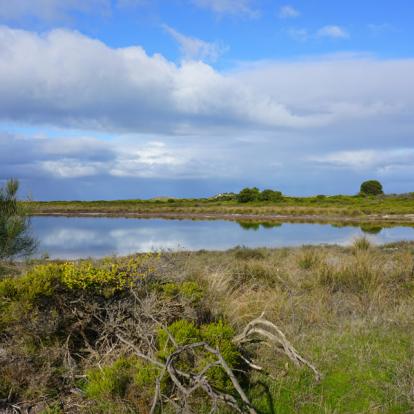 A Découvrir en Australie - Désert des Pinacles