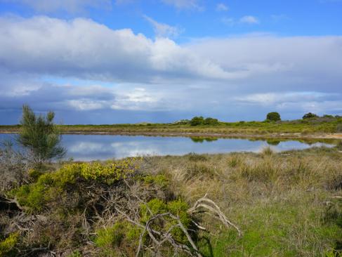 A Découvrir en Australie - Désert des Pinacles